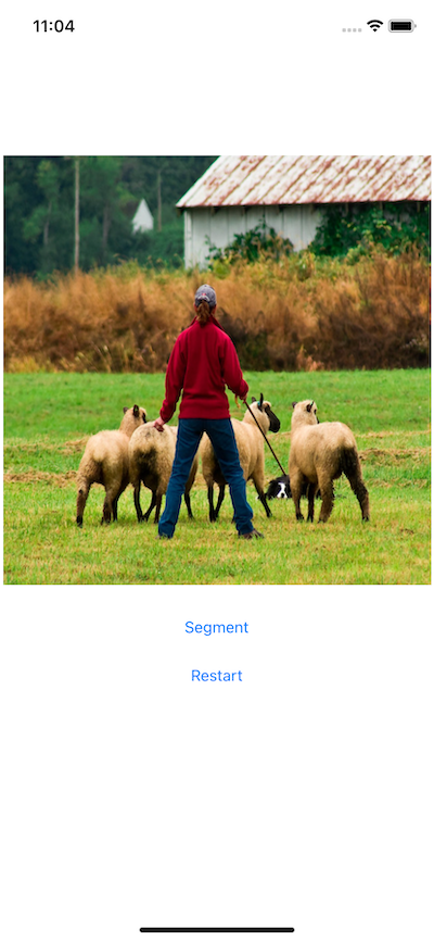 ../_images/deeplabv3_ios.png